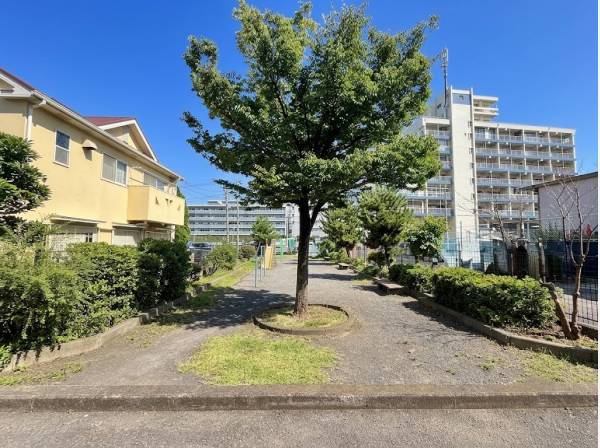 緑豊かで落ち着いた住環境。綺麗に管理された敷地周辺です