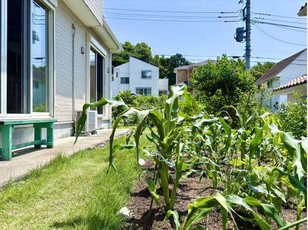 恵みの土と降り注ぐ太陽…お庭の準備は整っていますよ