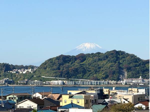 海と富士山を眺める眺望