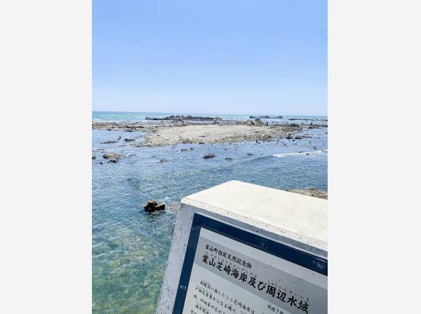 葉山芝崎海岸まで徒歩１分（約40ｍ）