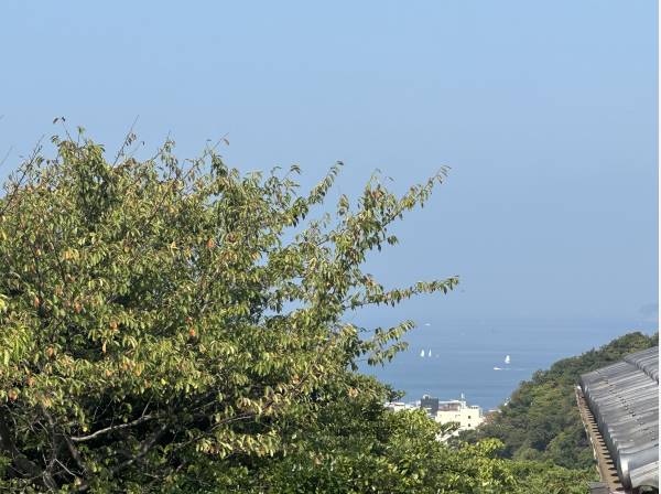 空気の澄んだ日には雄大な富士山も姿を現します