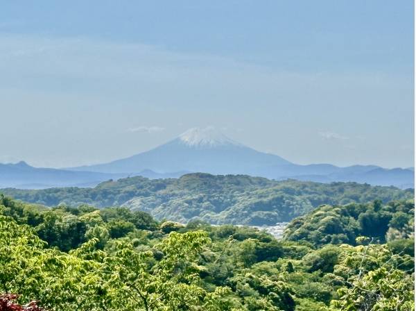 約60m（1分以内）に富士山が見える緑地がありますよ！（散歩道）