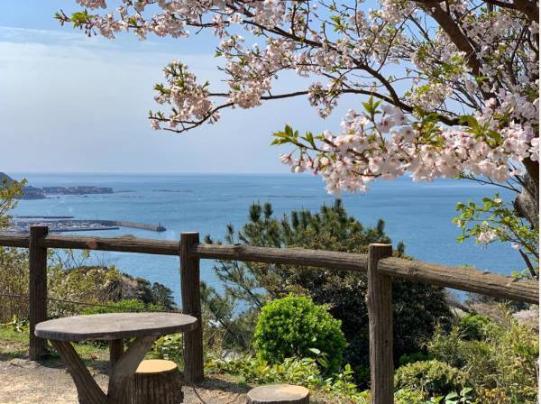 披露山公園まで徒歩17分（約1300m）