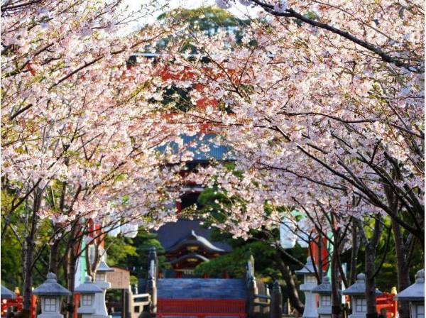 鶴岡八幡宮まで徒歩13分 (約1000ｍ)