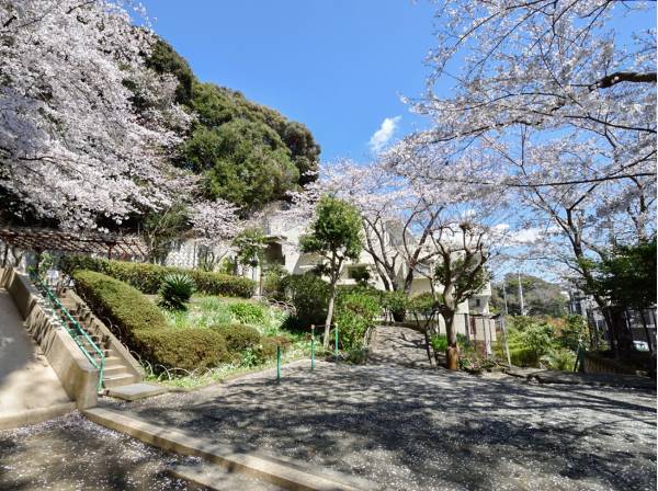 七里ガ浜あしか公園まで徒歩2分（約100m）
