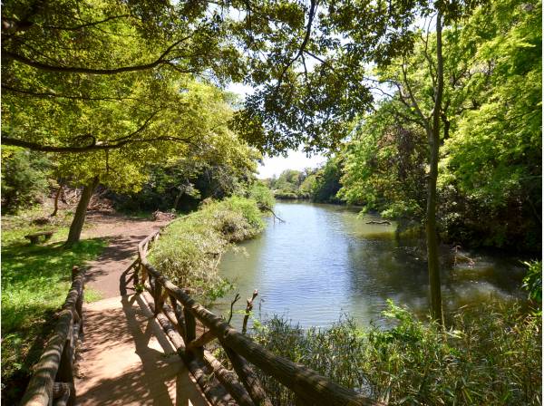 久木大池公園　約140ｍ　（徒歩2分）