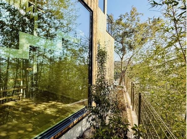 竹林の借景をお楽しみいただけます