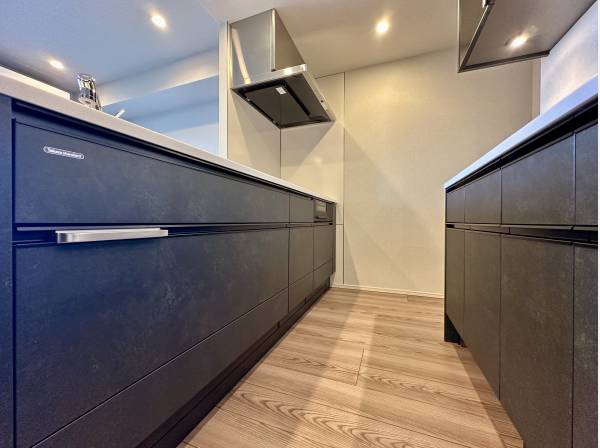 Takara standard社製のシステムキッチン