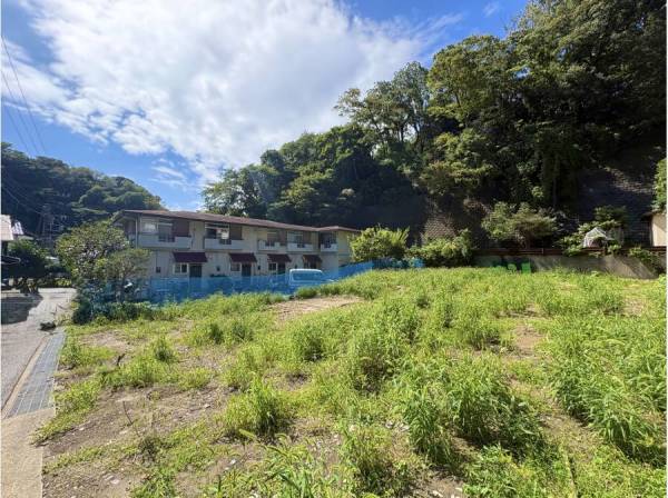 陽光が差し込む開放感のある敷地