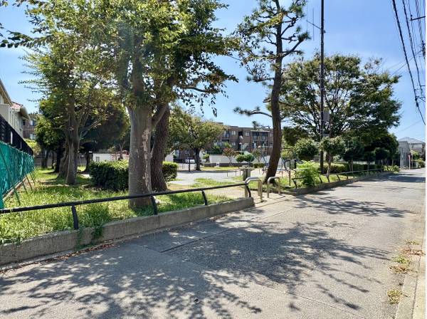 現地目の前は公園です、