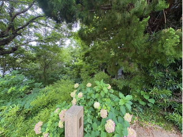 マイナスイオン感じるひんやりとした自然