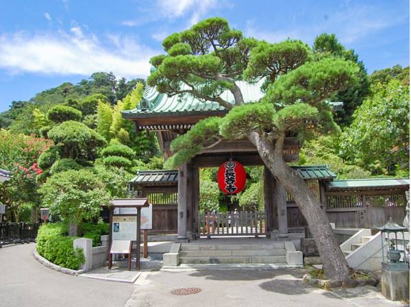 長谷寺まで約800m・徒歩約10分