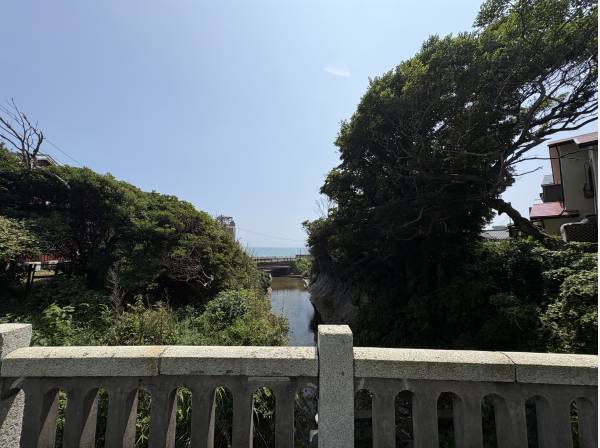 敷地目の前　音無川からの風景