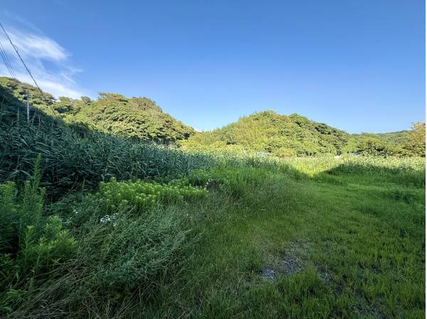 別荘や保養所など自由な発想で活用できるゆとりのスペース