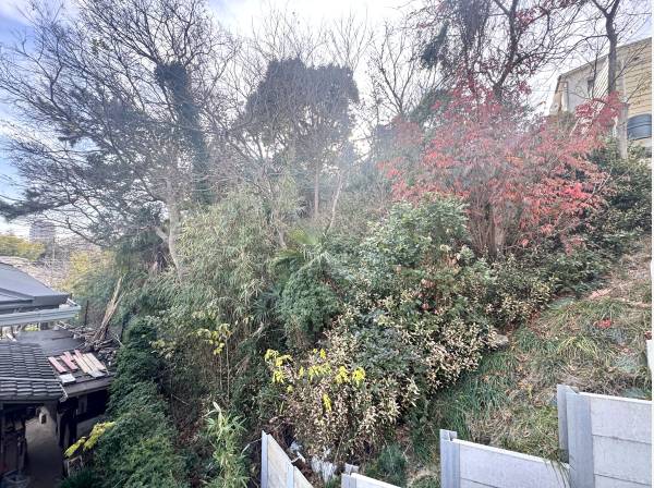 2階からの景色はこの緑の上です