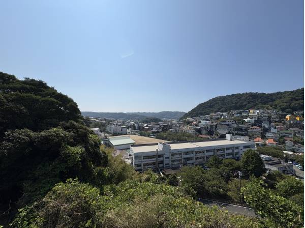 南側はこれだけの開放感があります。大きな窓を設けたくなりますね