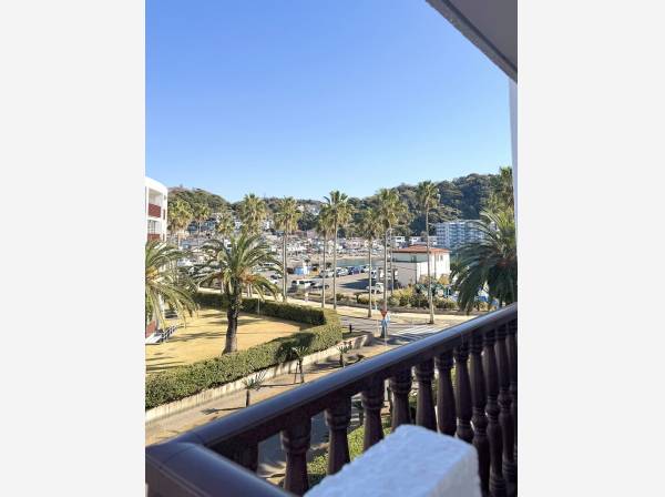 バルコニーの先には南国ムード溢れる豊かな海景