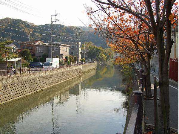 田越川の穏やかな流れも感じるロケーション(約20ｍ)