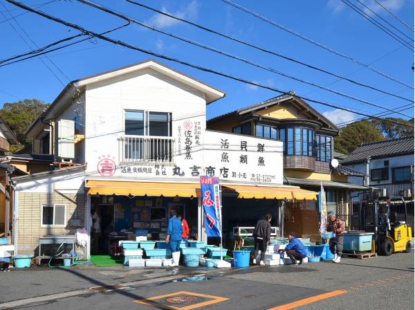 新鮮な海の幸が手に入る丸吉商店まで徒歩8分 (約600ｍ)