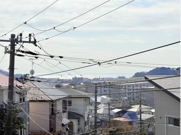 相模湾を遠望できます！