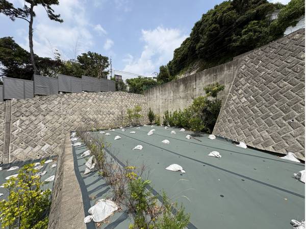 自然豊かな住環境で心地よい暮らしが叶います！