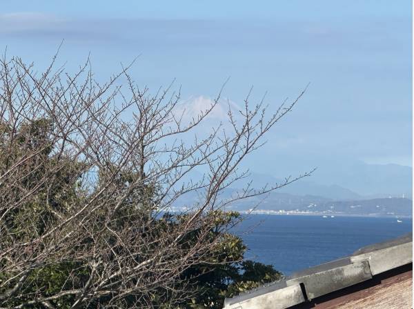 遠望に富士山＾＾