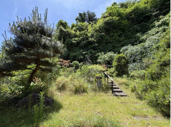 目の前に広がる源氏山の緑。一面の緑を望む約２５０坪のゆとりある敷地