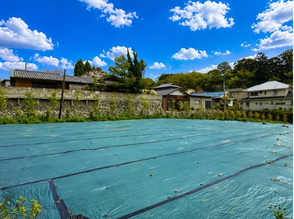 視界いっぱいに広がる青空と緑、心がほどける開放感。