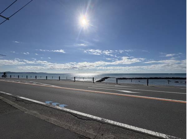 敷地から海を見ています