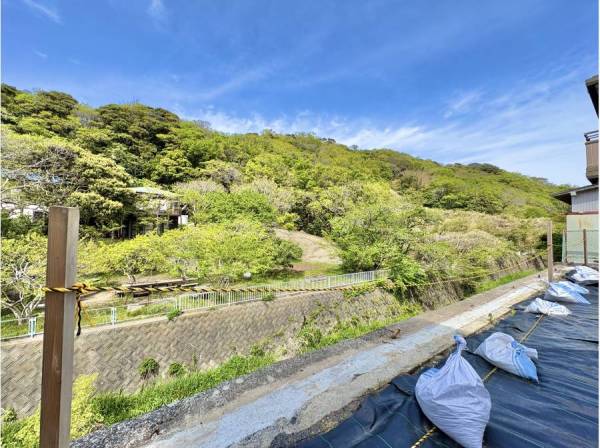 裏手側には小川が流れとても良い雰囲気