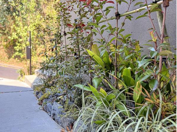 建物だけでなく、職人が拘って「造り込んだ」外構、植栽も是非ご覧下さい