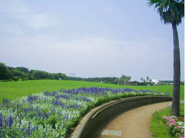 辻堂海浜公園　徒歩17分