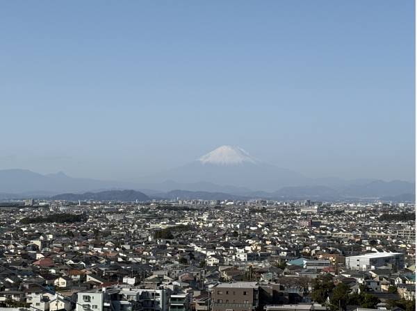 雄大な富士山を望む