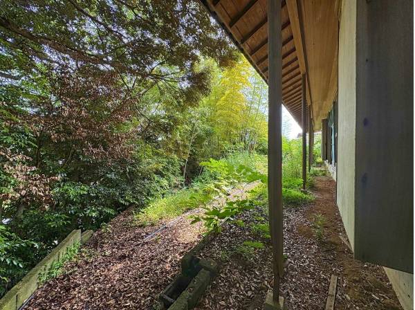 樹々の緑と光のコラボ。和風建築ならではの陰影が織りなす美しい光景。
