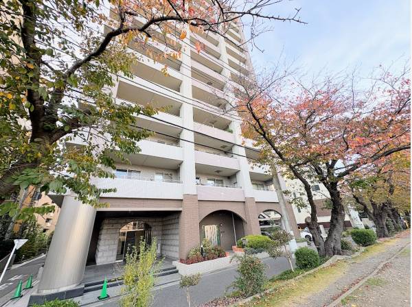 桜の木に囲まれたマンション外観