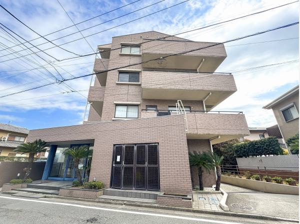 エントランスを彩るパームツリーが海街らしさを演出