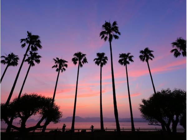 小坪飯島公園まで徒歩14分 (約1.1㎞)