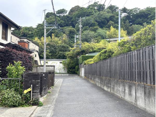 駅４分という立地にありながら緑豊かな環境。道路向かいは長谷寺の敷地です