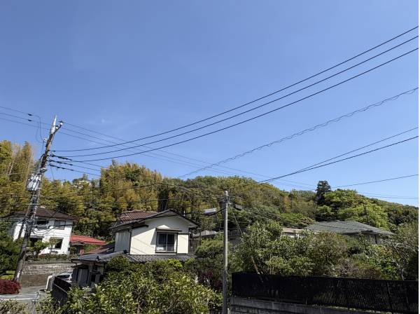 現地１階レベルから緑の眺望が広がっています。２階からの眺めが楽しみに