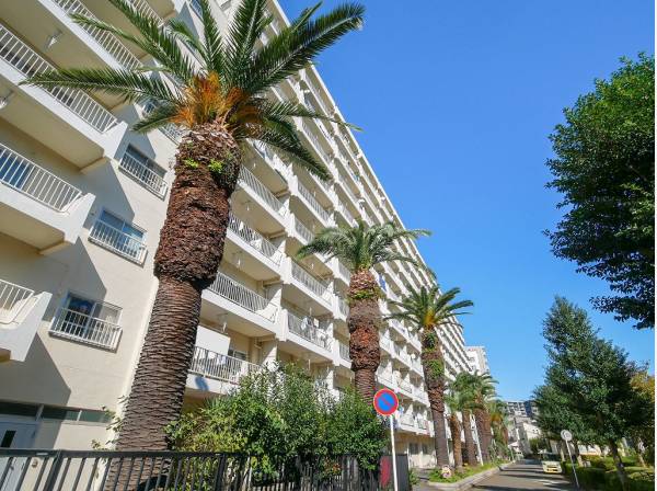 パームツリーが建ち並ぶリゾート感のあるマンション