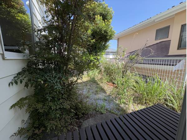 畳の部屋から縁側があり、庭に出られますよ！