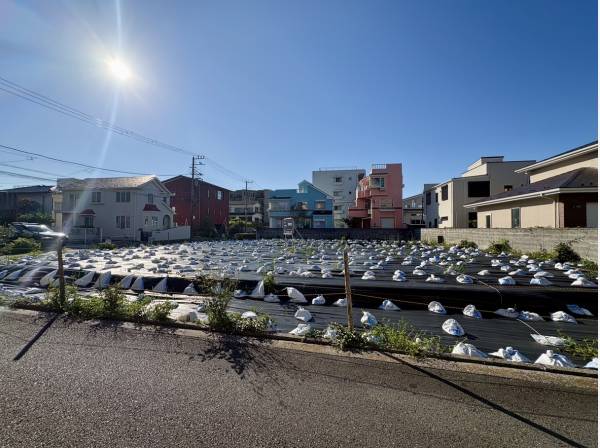 多彩なプランが検討できそうな土地です。