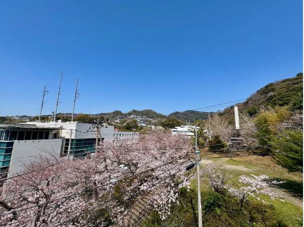 目の前が公園です！