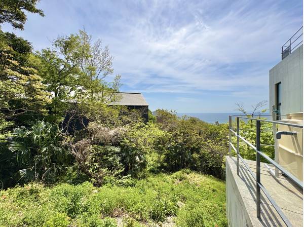 見上げると葉山の広い空が望めます