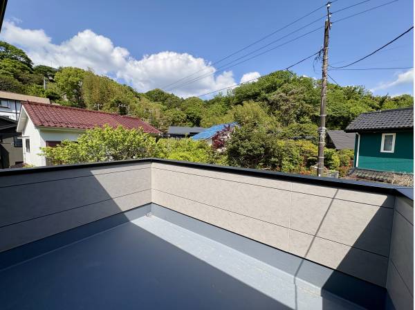 美しい緑を眺めます。