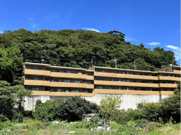 緑に包まれた穏やかな雰囲気を感じられるのも葉山の地ならではの魅力