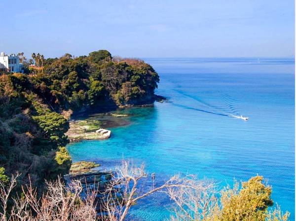 目の前の小網代湾は海の色がとてもきれいです