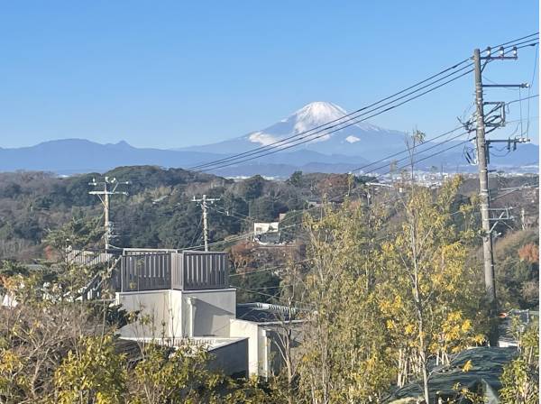 富士山を望みます