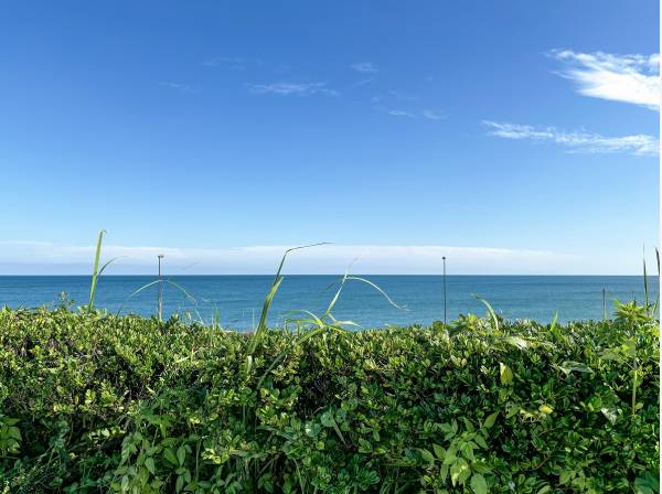 大磯海岸　徒歩13分(約1km)