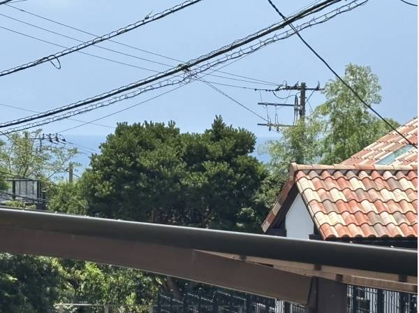 是非お気軽にお問い合わせくださいませ！